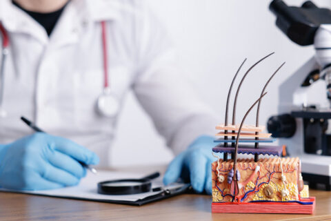 Doctor